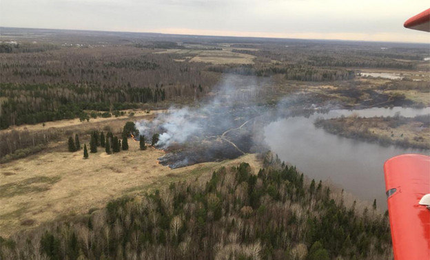 По вине кировчан в области произошло четыре лесных пожара