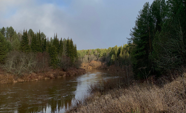 В среду в Кирове ожидается гололедица при температуре до -4 C