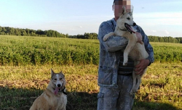 В Котельниче с владельца собаки взыскали 100 тысяч рублей за укус ребенка