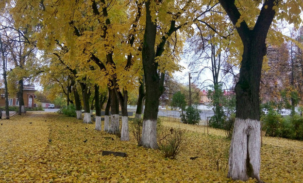 Погода в Кирове. На неделе температура воздуха начнёт понижаться