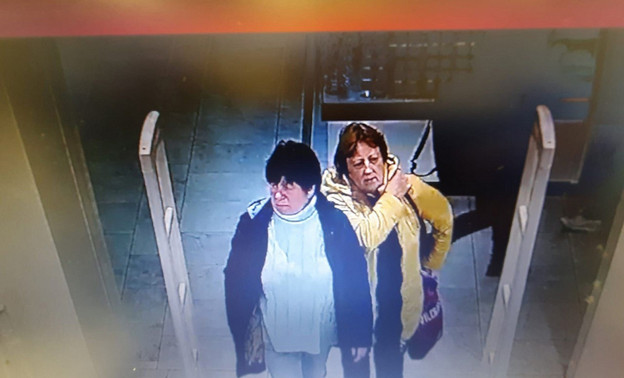 В Кирове ищут двух женщин, которые похитили товар из магазина на Луганской