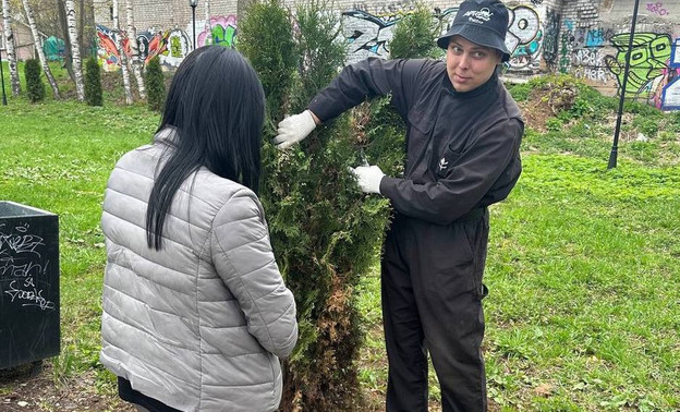 В Кирове в парке Аполло провели чистку туй