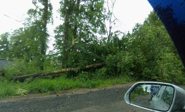 В Кировской области из-за сильных гроз и шквалистого ветра объявили метеопредупреждение