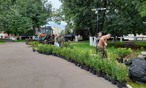 В Кирове запланированы масштабные работы по озеленению