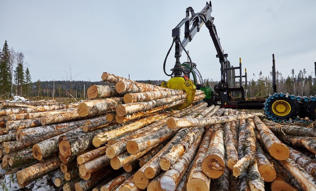 Кировский лес принёс в областной бюджет около 2 млрд рублей