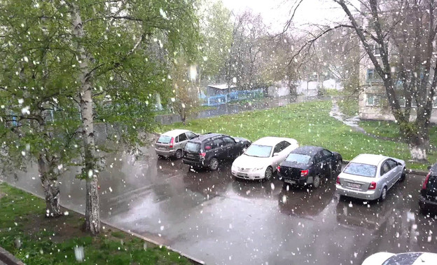 Синоптики: в первые дни лета в Кирове будет идти снег