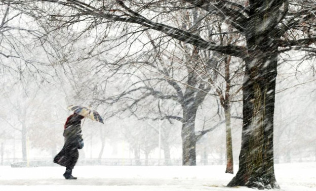 Погода в Кирове. В пятницу усилится ветер, потеплеет и пойдёт снег с дождём