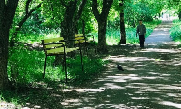 В парке у Дворца пионеров установят 12 новых скамеек