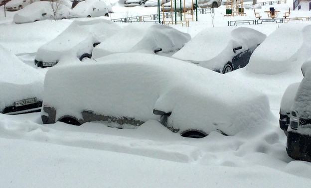 Жители Чистых Прудов решили сами выйти на борьбу со снегом