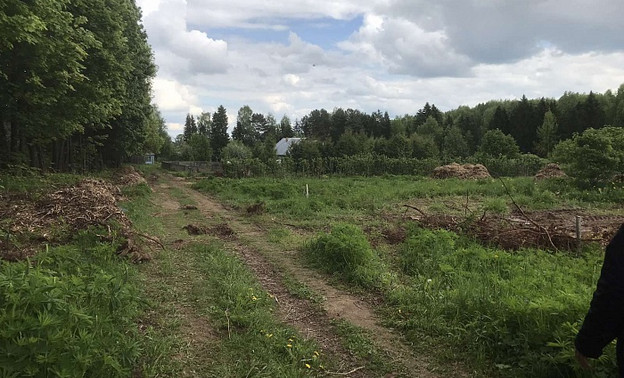 В Дендропарке появится питомник редких растений