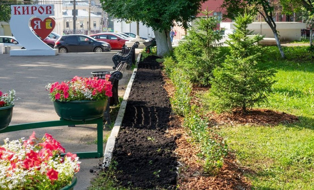 В администрации Кирова рассказали о планах по озеленению города