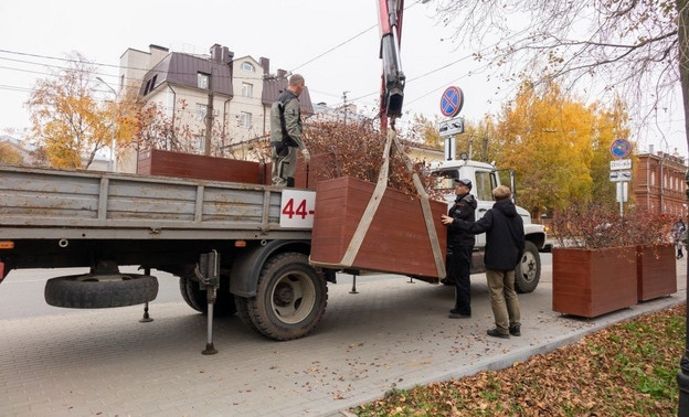 Кировское озеленение убирают на зимовку