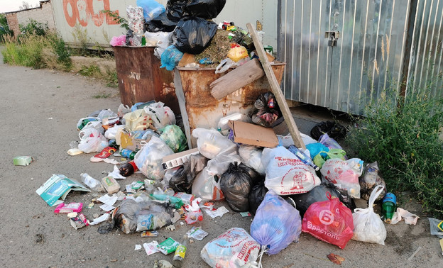 В России ужесточили административную ответственность за сброс мусора из транспортных средств