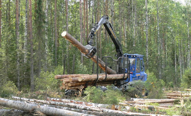 Кировская область заработает на продаже леса более 350 миллионов рублей