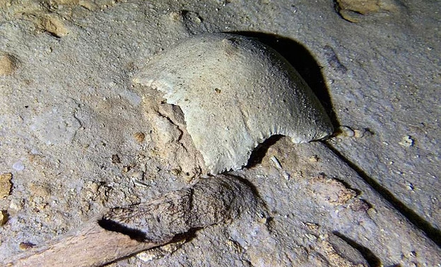Археологи нашли в подводной пещере 8000-летний скелет человека