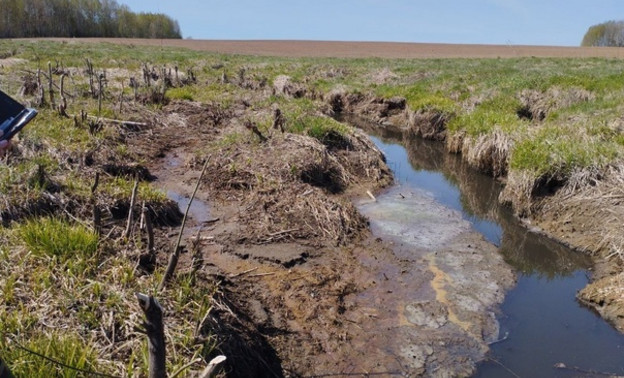 В Котельничском районе местную агрофирму подозревают в загрязнении реки