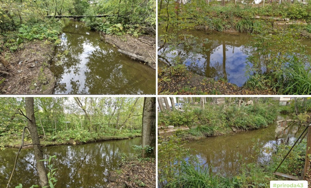 В Кирове проверили реку Хлыновку после сообщения о мёртвой рыбе