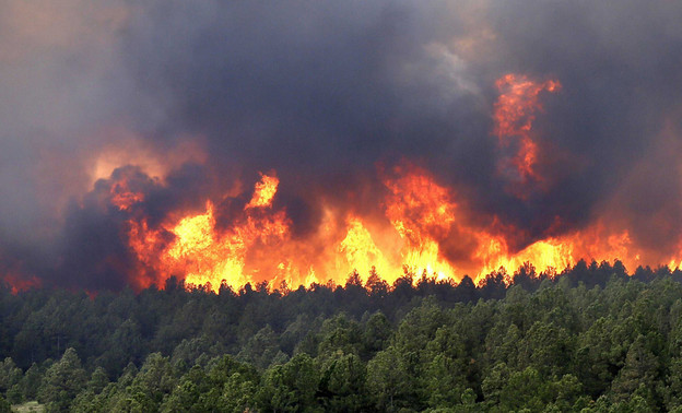 С начала 2023 года в Кировской области зарегистрировали 104 лесных пожара