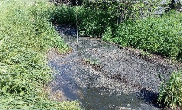 В селе Кырчаны земельный участок загрязнили канализационными стоками
