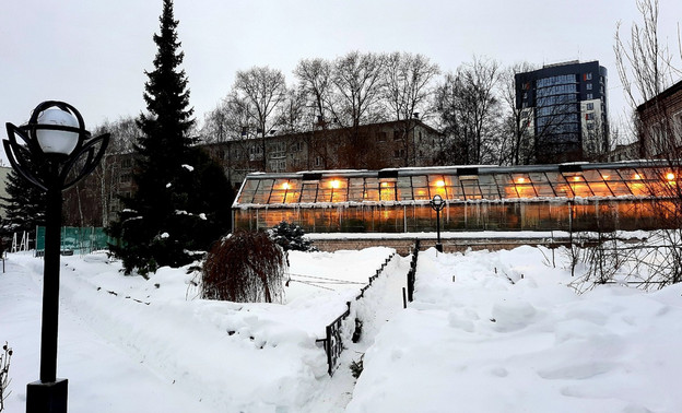 Ботанический сад в Кирове готовят к открытию