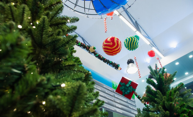 1 500 идей для праздника и сладкие подарки уже ждут кировчан в супермаркетах «Система Глобус»