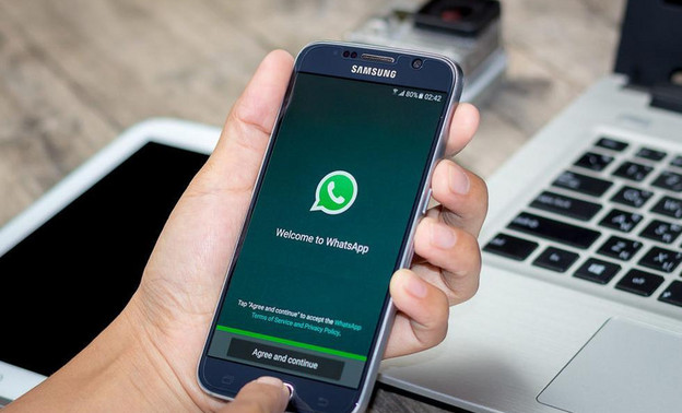 Пользователи WhatsApp* смогут добавлять контакты в «Избранное»