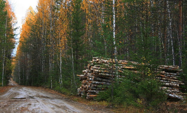 В Кировской области объявили метеопредупреждение из-за высокой пожароопасности