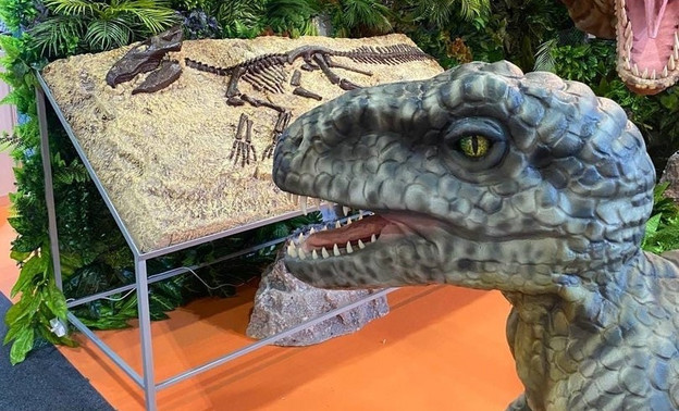 Кировских динозавров показали на выставке в Дубае
