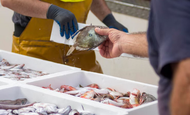 В Яранском районе продают рыбу без срока годности