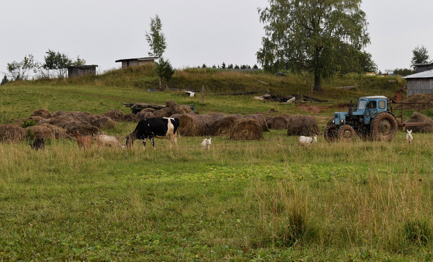 В Кировской области запустят новую молочно-товарную ферму на 200 голов