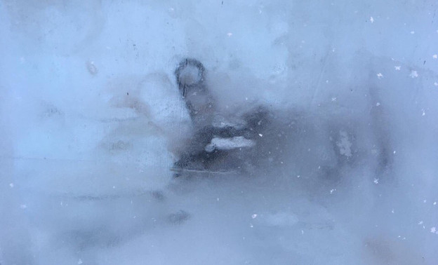 Соцсети: в стене ледового городка на Театралке нашли замёрзшую утку