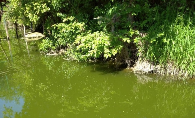 После публикаций в СМИ кировские экологи внепланово проверяют реку Чахловицу