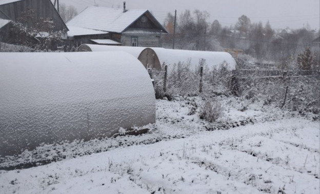 В Кировской области выпал первый снег