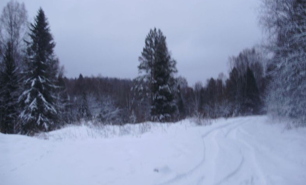 Пропавшую жительницу Кировской области нашли мёртвой в снегу