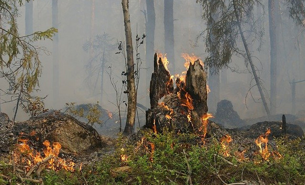 В Кировской области объявили начало пожароопасного сезона