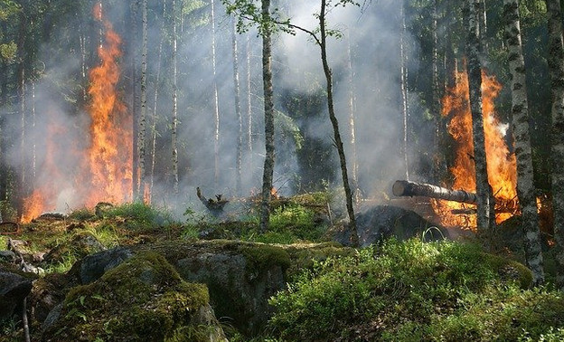 В Кировской области объявили о начале пожароопасного сезона