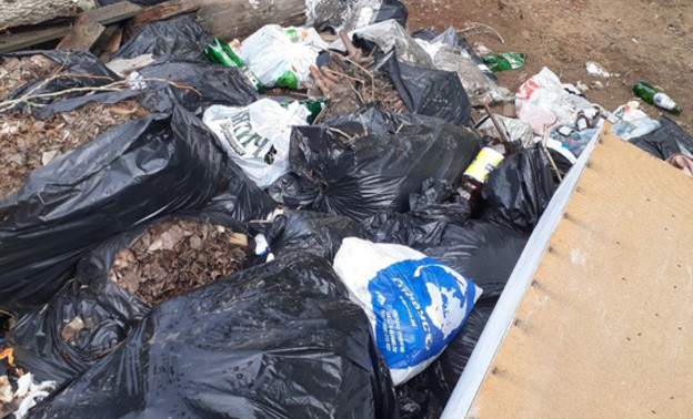 Прокуратура нашла больше 700 нарушений закона при вывозе мусора в Кировской области