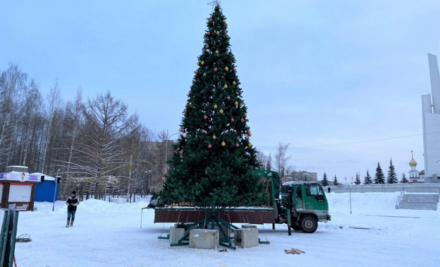 В парке Победы установили новогоднюю ель