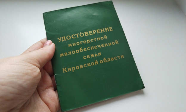 С октября в Кировской области начнут внедрять цифровые удостоверения для многодетных