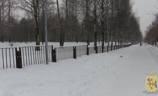 На кировскую студентку напал грабитель в парке у Дворца пионеров