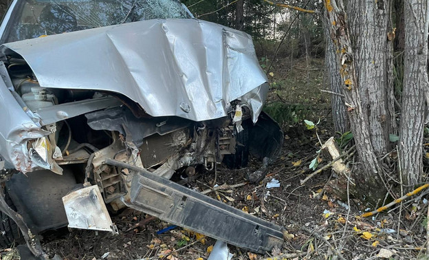 В Лебяжском районе ВАЗ врезался в дерево