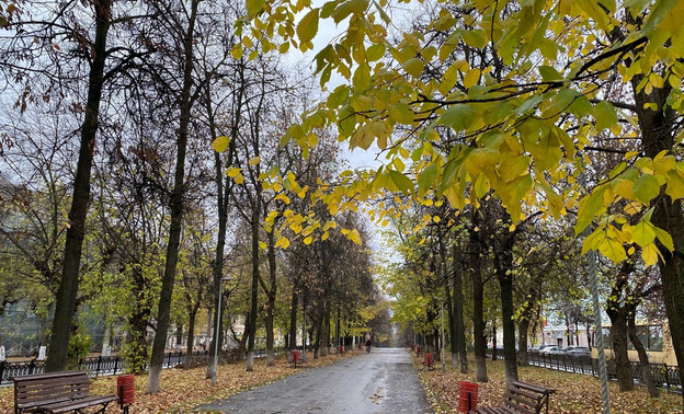 28 сентября в Кировской области ожидают усиление ветра до 20 м/c