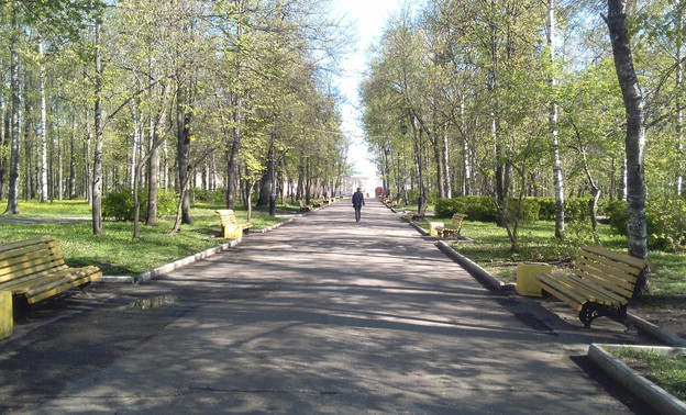 Погода в Кирове. Кировчан ждёт солнечная и теплая среда