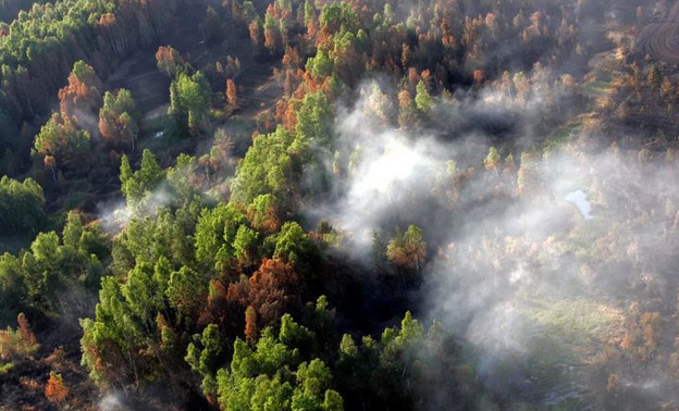 Тушить лесные пожары в Кировской области готовы более семи тысяч человек