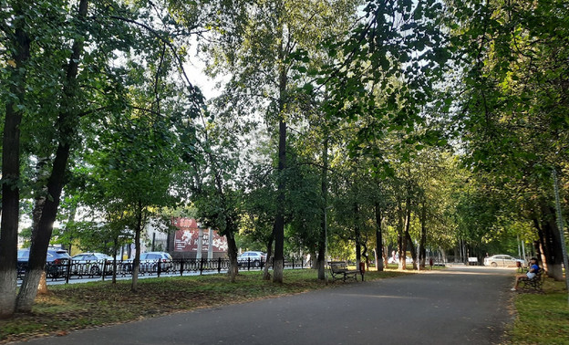 Кировчан приглашают обсудить благоустройство бульвара на Октябрьском проспекте