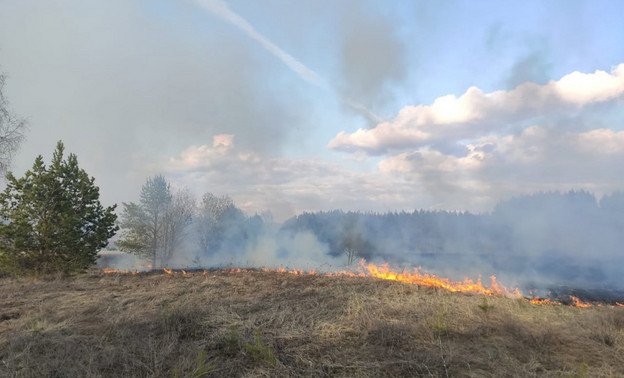 В Уржумском районе зафиксировали неконтролируемое горение травы