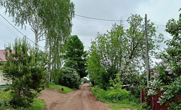 Жара и дожди: погода в Кирове 11 июня