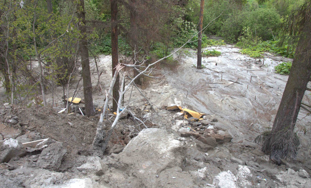 В Кирове забетонировали участок леса строительными отходами