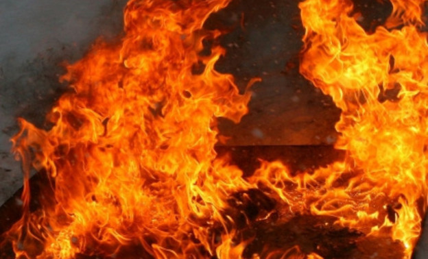 Во время пожара в Лузском районе погибли мать и дочь