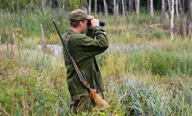 С 15 сентября в Кировской области открывается охота на пушных зверей